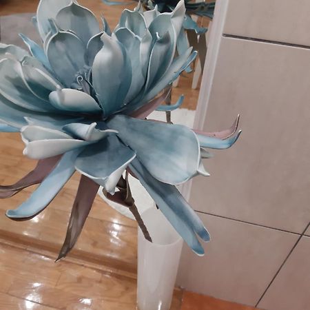 노비사드 Fedra 아파트 외부 사진